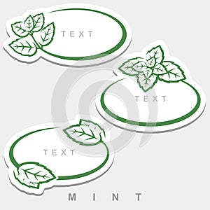 Mint set. Collection mint leaves frame. Vector