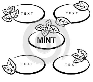 Mint set. Collection mint leaves frame. Vector