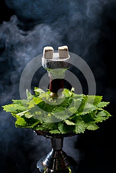 Mint smoking hookah