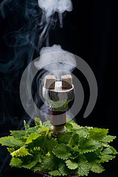 Mint smoking hookah
