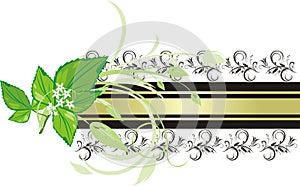 Mint sprig on the background of decorative banner