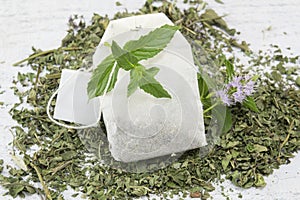 Mint tea bag and fresh mint plant