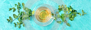 Mint tea cup panora on a turquoise background with vibrant fresh mint leaves photo