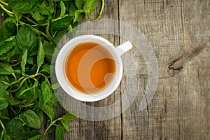 Mint Tea photo