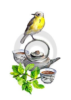 Mint tea, teapot, cups and bird. Watercolor