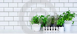 Mint, thyme, basil, parsley - aromatic kitchen herbs in white wooden crate on kitchen table, brick tile background