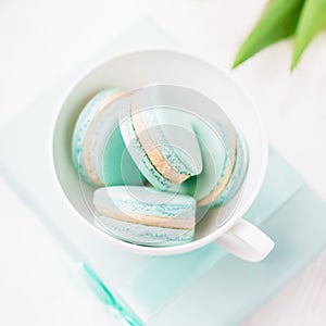 Mint or tiffany color macaron or macaroon dessert with vanilla cream in glass. Paste photo, copy space