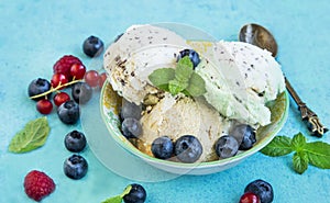Mint,vanilla and cocoa icecream with berries and mint leaves