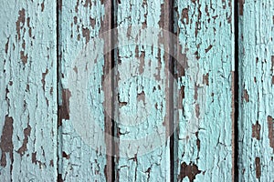 Mint wood background. Scratched turquoise paint on a wooden plank wall. Background, texture