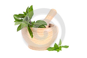 Mint in a wooden pounder photo