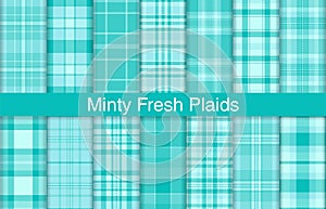 Minty fresh plaid bundles, textile design, checkered fabric pattern for shirt, dress, suit, wrapping paper print, invitation and