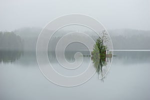 minute green island with small trees in lake on foggy day