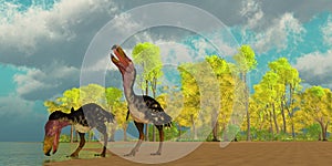 Miocene Kelenken Birds