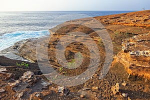 Miocene shallow-water limestones from Sao Nicolau island, Cape Verde photo