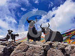 Mira mountain pass landmarks, prayer flags, and statues of sacred cows worshipped by Mani stone inscribed with scriptures.