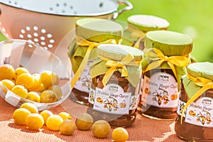 Mirabelle Chutneys