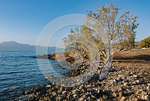 Mirabello bay coast in the early morning