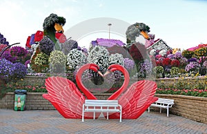 Miracle  garden