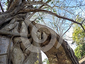 Miracle `Gateway to the passage of time` at ruins of Wat Phra NgamWat Cha Ram,Phra Nakorn Si Ayutthaya,Thailand