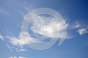 Bird shaped cloud in bright blue sky.