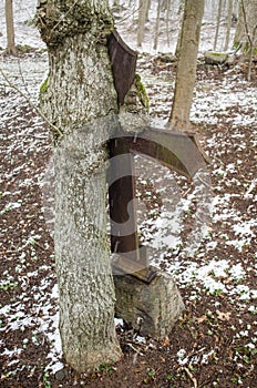 Miracle tree - a metal cross has grown into a tree and broken