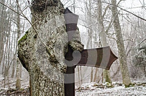 Miracle tree - a metal cross has grown into a tree and broken