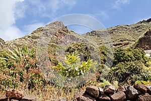 Mirador El Balaidero with panorama of the island