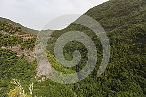 Mirador Espigon del Atravesado Los Tilos, La Palma photo