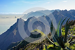 Mirador Roque de Taborno, Tenerife, Canary Islands, Spain. photo