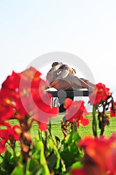 Miraflores, Peru, The Kiss. Great sculpture in the Parque del Amor, next to the Pacific Ocean, in the Lima district