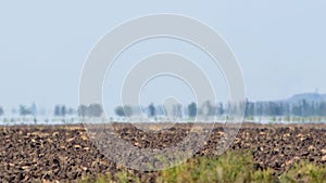 Mirage above farmland in scorching heat