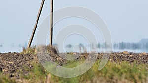 Mirage above plowed farmland in abnormally hot weather