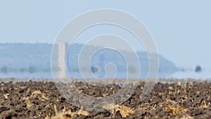 Mirage above plowed farmland in hot weather