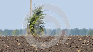 Mirage, air shimmer or heat haze above farmland in abnormally hot day