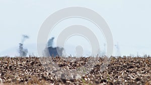 Mirage, heat haze, air shimmer above farmland in scorching heat