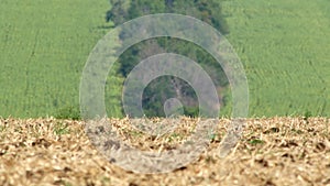 Mirage or heat haze over farm land