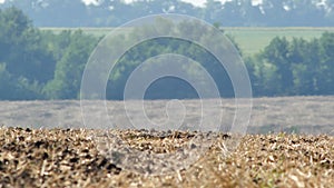 Mirage or heat haze over farm land on extreme hot summer weather