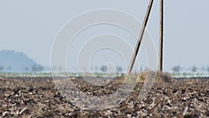 Mirage, heat haze over farmland on abnormally hot summer day