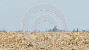 Mirage or heat waves over field with harvested crop of grain crops on extreme hot summer weather