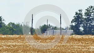 Mirage or heat waves over wheat field on extreme hot summer weather