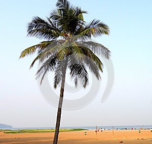 Miramar beach, Goa photo