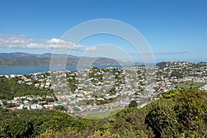 Miramar Peninsula Wellington New Zealand Homes