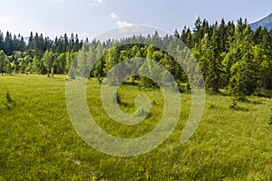 Mire (quagmire, peatland)