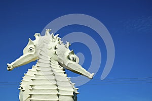 Miri City: Medium close up of two seahorses structure