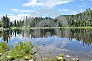 Mirored Lake Reflects Summer Scene