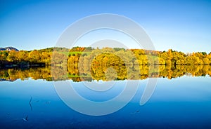 Reflection of autumn trees on lake