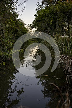 Mirror Effect on a Stream's Water