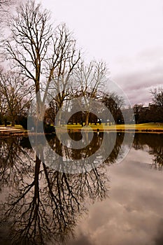 Mirror image of empty trees