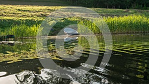 Mirror image on the lake, green forest reflected on the surface of the lake, boat on the shore of the lake, beauty in nature