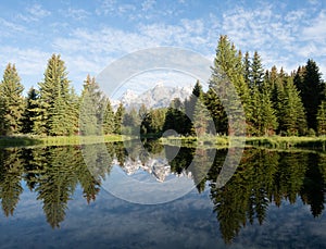 Mirror Image of Pine Trees and Teton Mountains in Beaver Pond at Schwabacher`s Landing in Grand Teton National Park, Wyoming